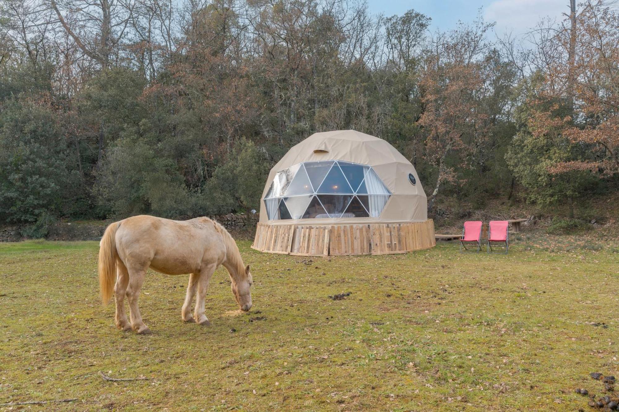 La Cabane Aux Chevaux Varages Экстерьер фото